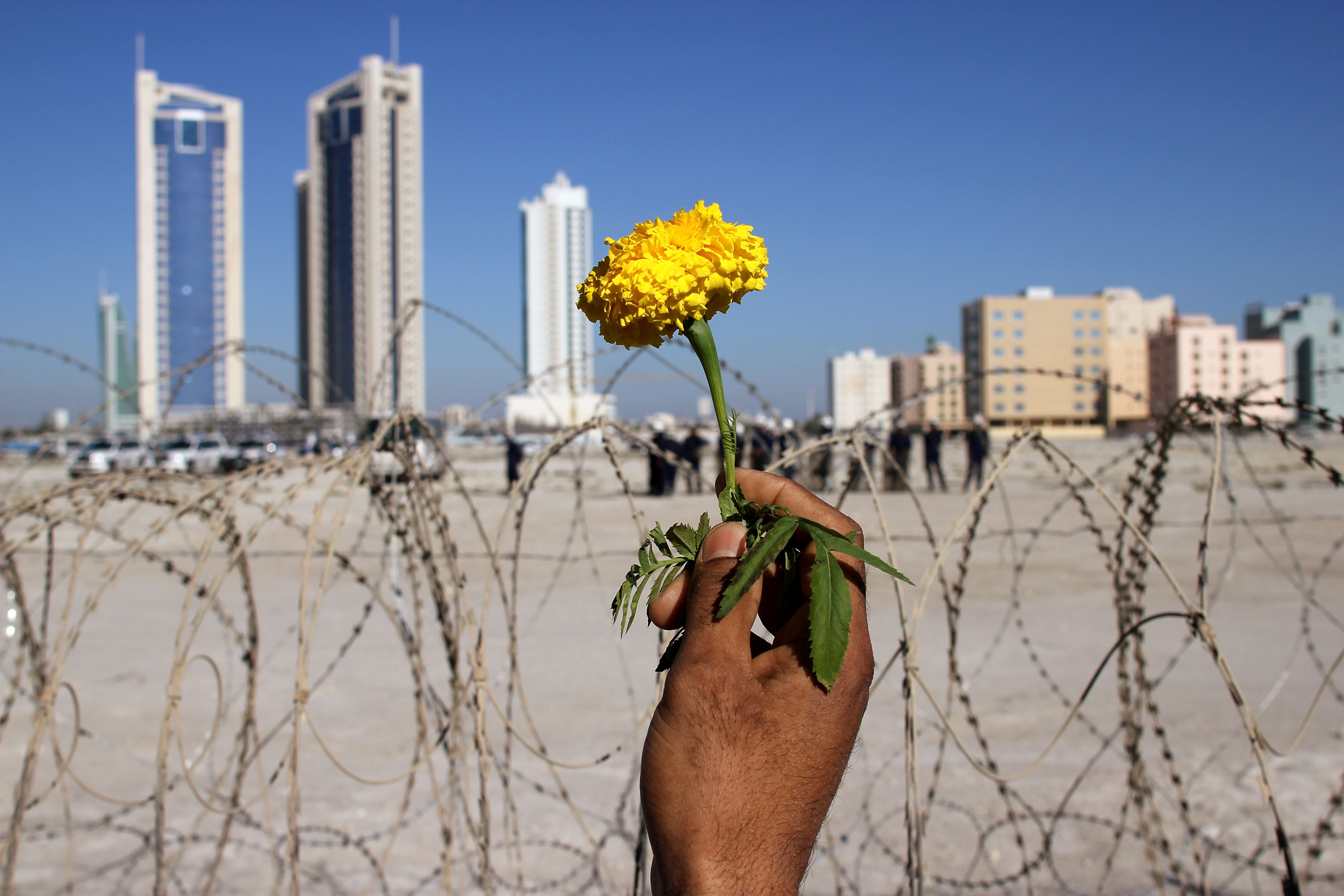 MANAMA, BAHRAIN - FEBRUARY 19:  A person holds a flower in front of a barbed wire fence as anti-government demonstrators re-occupy Pearl roundabout on February 19, 2011 in Manama, Bahrain. Anti-government protesters were fired at with tear gas and rubber bullets as they marched to retake the roundabout, injuring several protestors at the site of two deadly previous confrontations between police and demonstrators. The Bahrain military has since backed off by order of Crown Prince Salman bin Hamad Al Khalifa, and instead police have been positioned to squelch the uprising.  (Photo by John Moore/Getty Images)