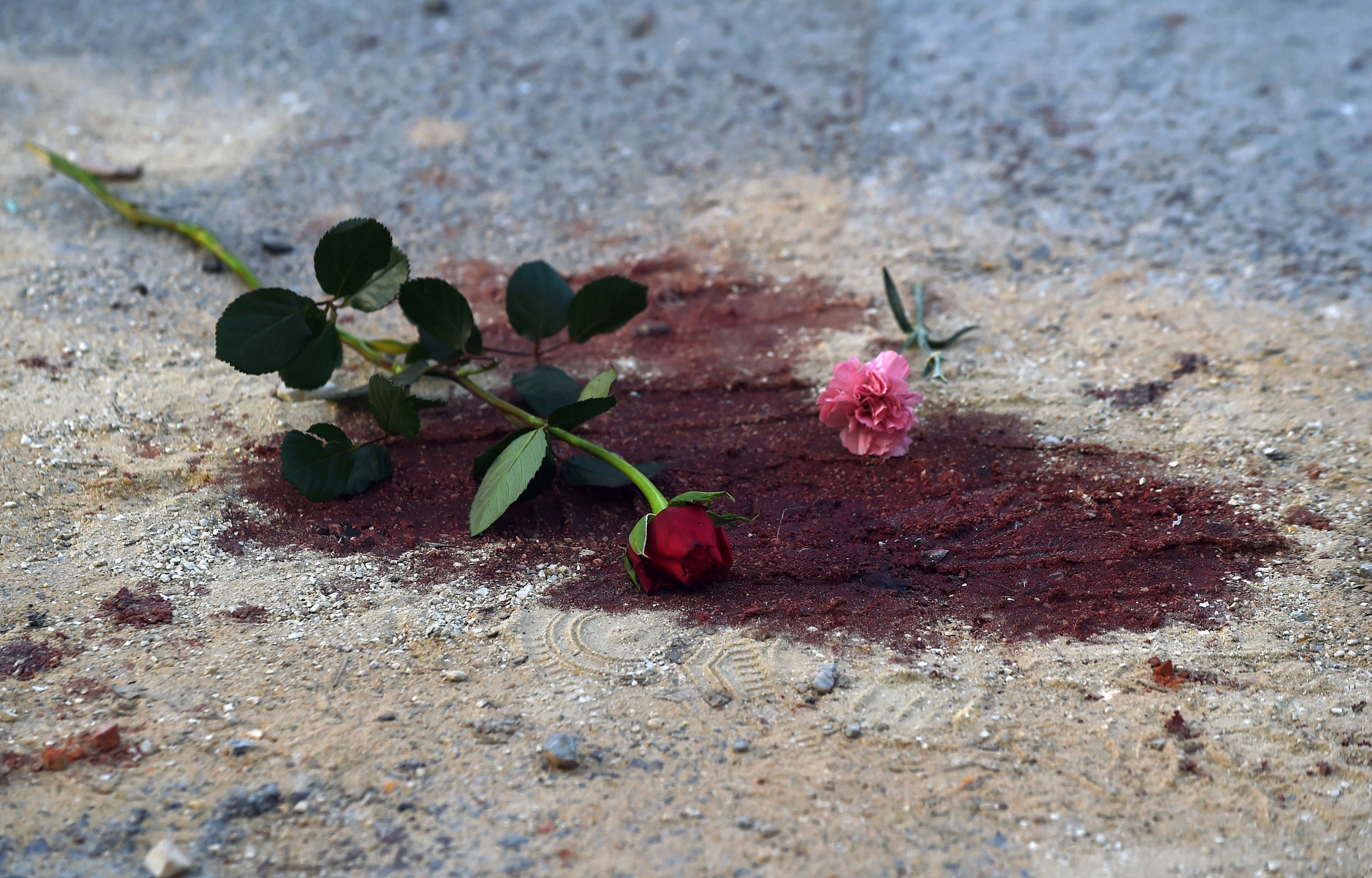 Roses are seen on bloodstains in front of the National Bardo Museum in Tunis on March 19, 2015 during a demonstration in solidarity with the victims of an attack on the museum the previous day killing 21 people. Tunisia has vowed to wage &quot;a merciless war against terrorism&quot; after the carnage at its national museum but it has struggled to draw up a strategy to counter the jihadist threat. AFP PHOTO /FADEL SENNA        (Photo credit should read FADEL SENNA/AFP/Getty Images)